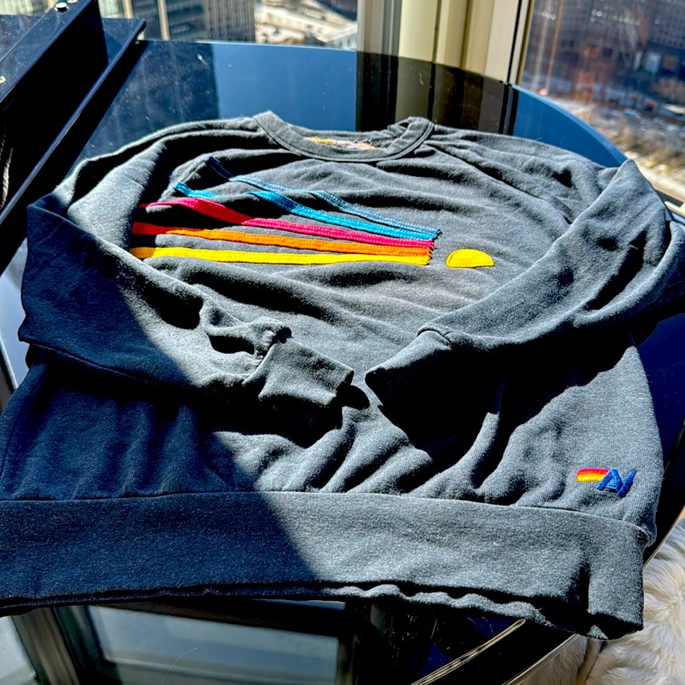 Aviator Nation sweatshirt